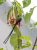 hanging_on_reduced