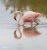 hanging_on_reduced
